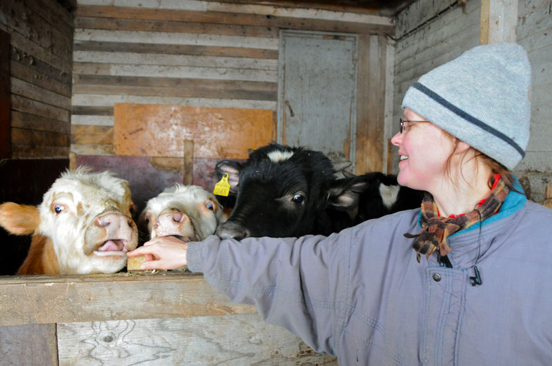 Scandinavie, Norvge, Sude, Finlande